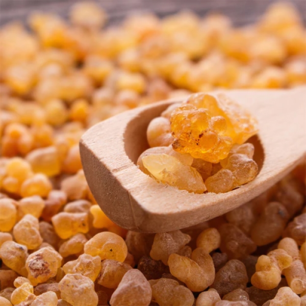 Frankincense Oil Extract