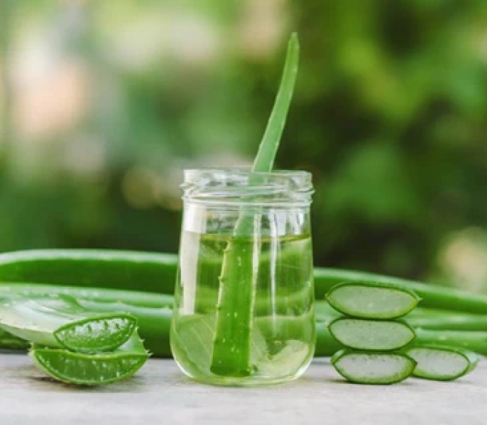 Aloe Vera Herbal Extract