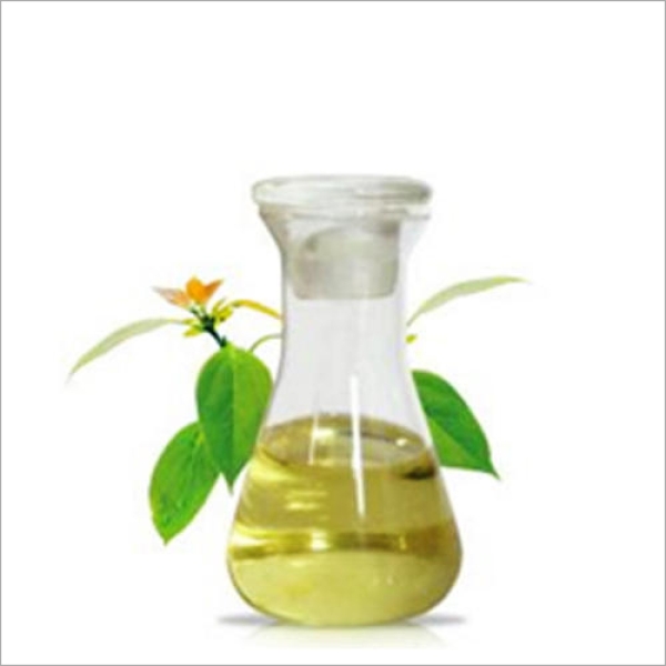 Camphor Herbal Extract