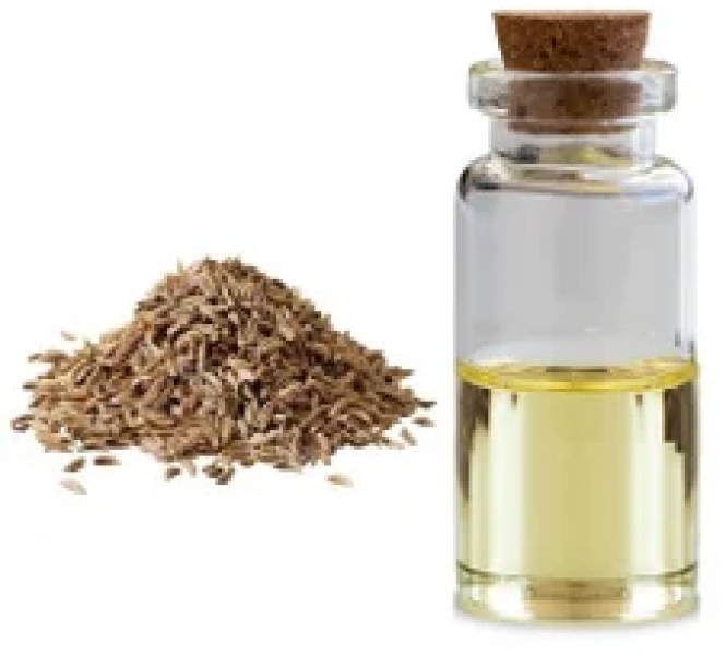 Cumin Herbal Extract