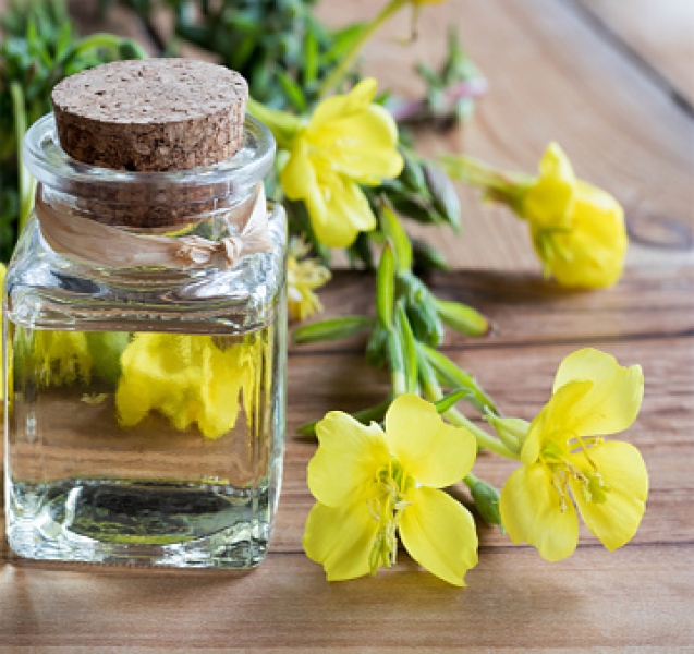 Evening Primrose Herbal Extract