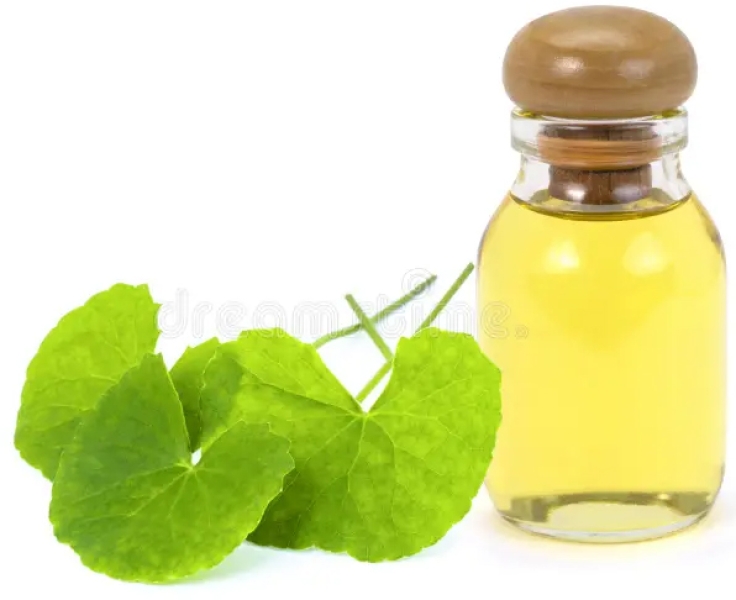 Gotu Kola Herbal Extract