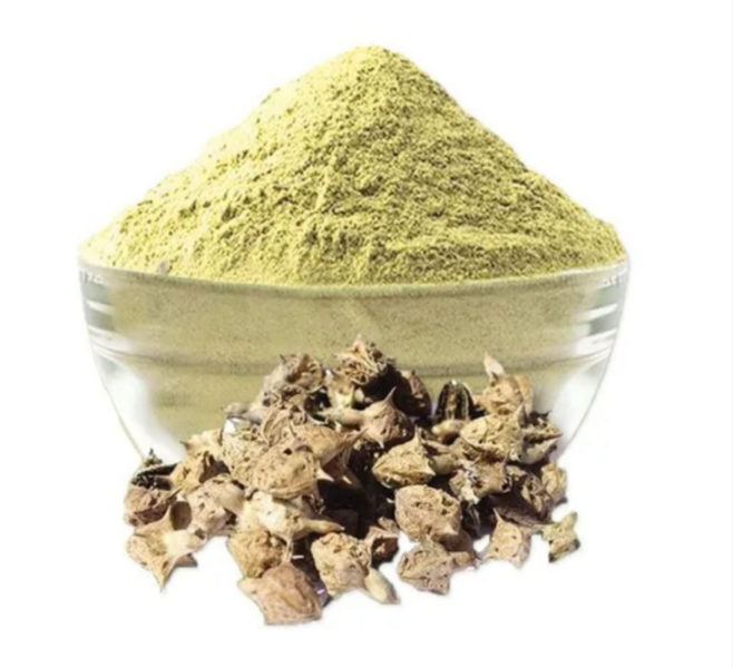 Gokhru Dry Extract