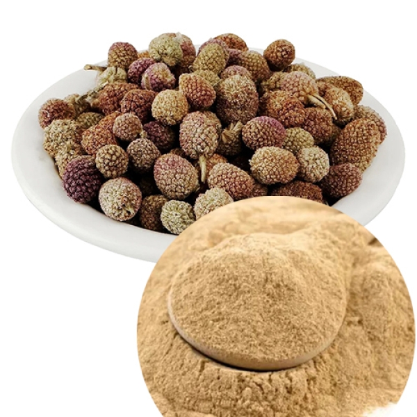 Gorakhmundi Dry Extract