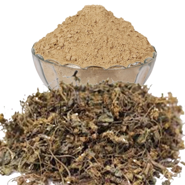 Gulbanafsa Dry Extract
