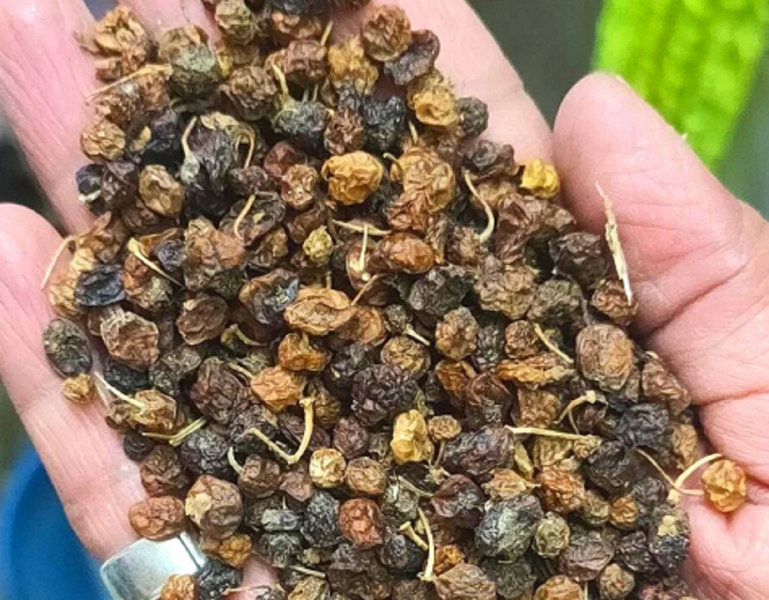 Kantakari Dry Extract