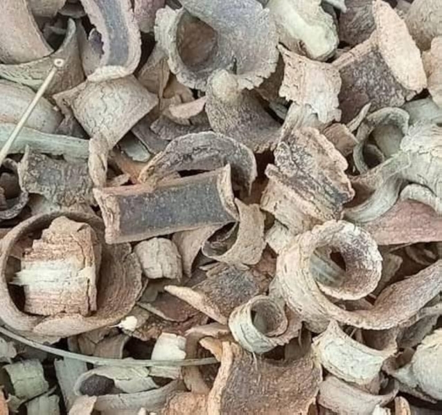 Kuda Chhal Dry Extract