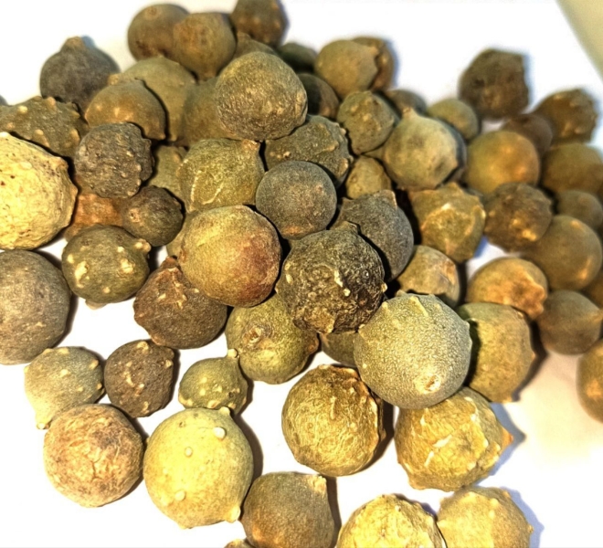 Majuphal Dry Extract