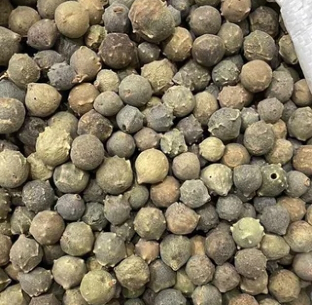 Majuphal Dry Extract