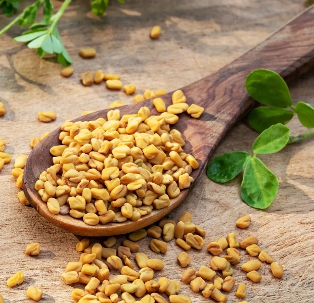 Methi Dry Extract
