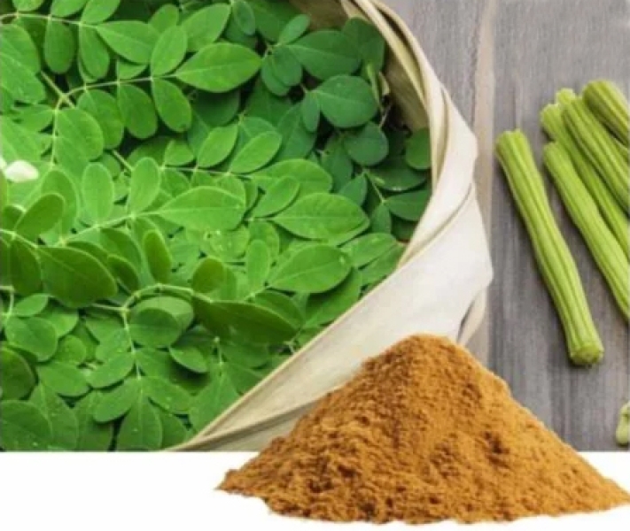 Moringa Dry Extract