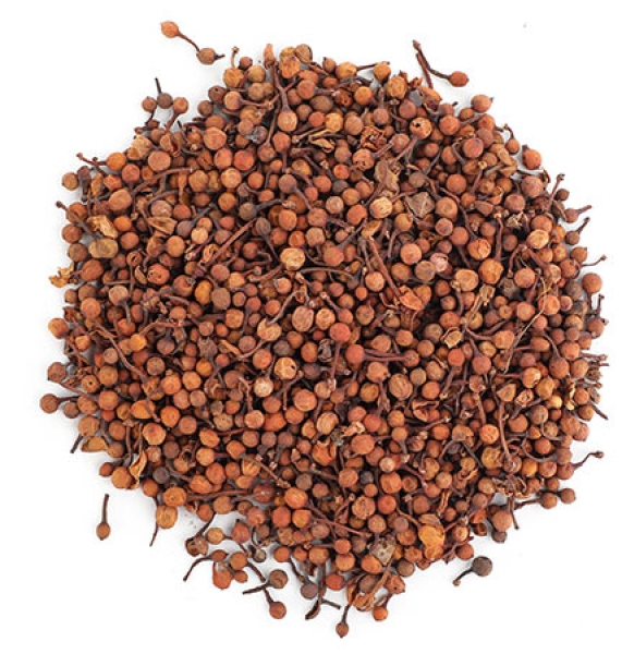 Nagkesar Dry Extract