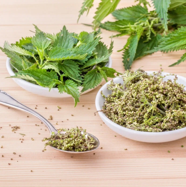 Nettle Leaves Dry Extract