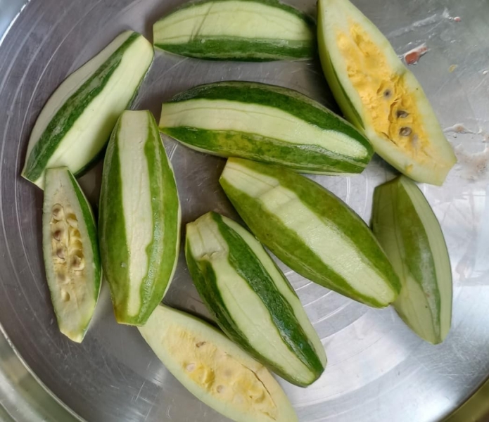 Parwal Dry Extract