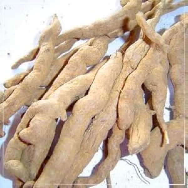 Sarpagandha Dry Extract