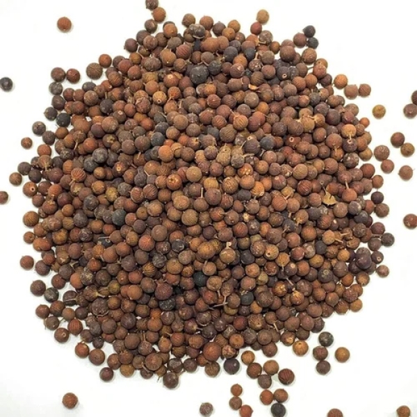 Vidanga Dry Extract