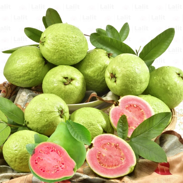 Amrud Guava