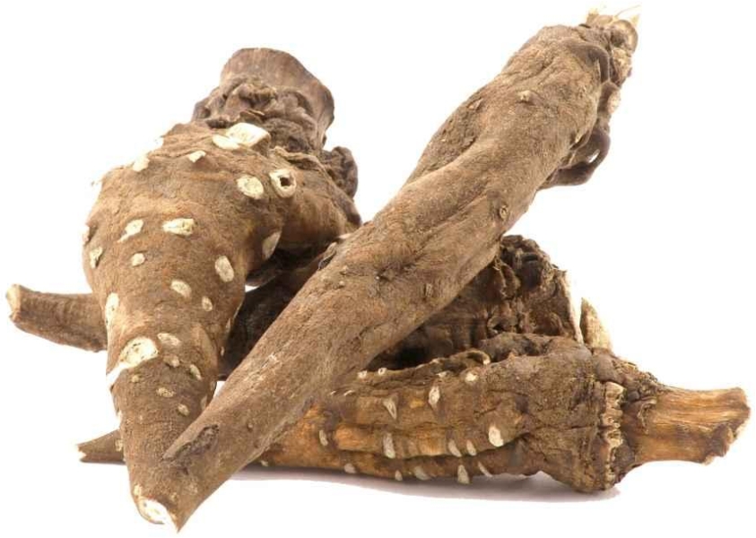 Atis-Atees - Aconite