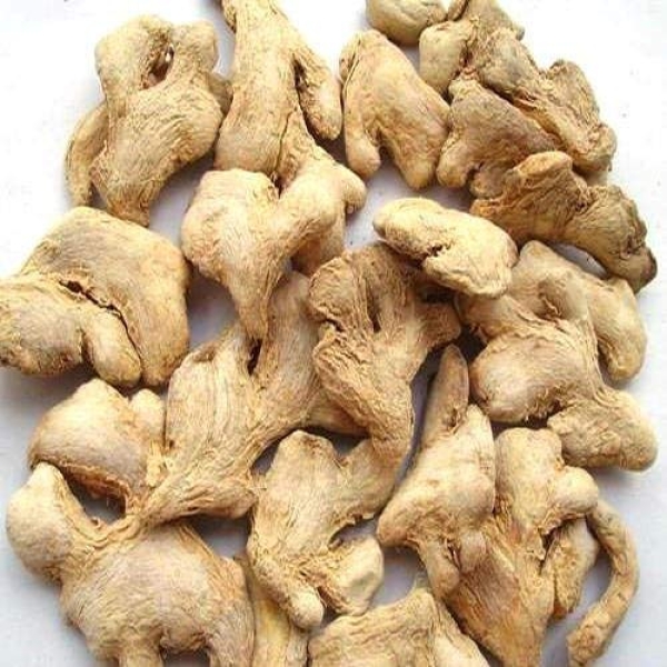 Ginger - Sounth