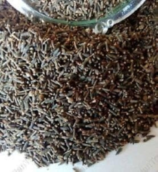 Kali Jeeri