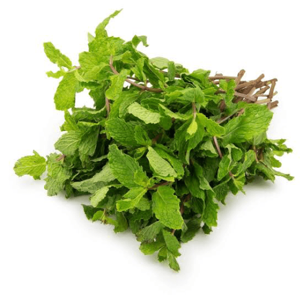 Mint Pudhina