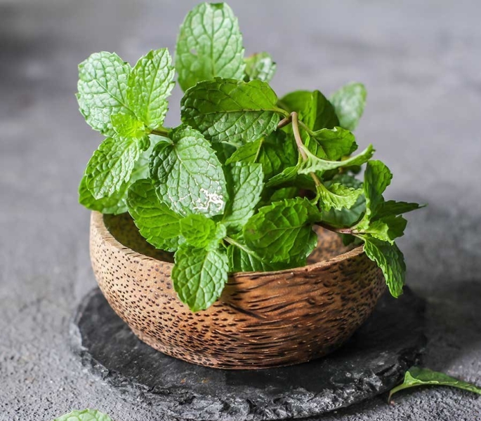 Mint Pudhina