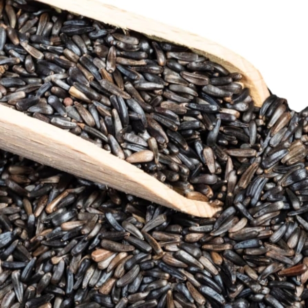 Ramtil Niger Seed