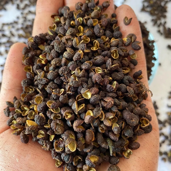 Schezwan Pepper - Tomar - Timur