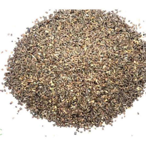 Talimkhana - Kokilaksha
